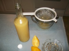 storing the lemon juice